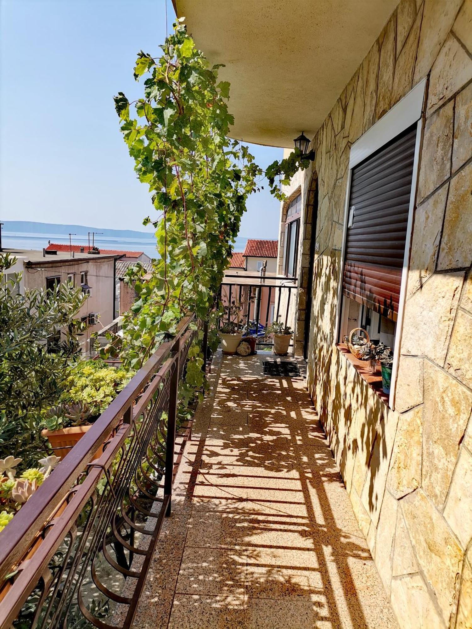 Villa Mia Makarska Bagian luar foto